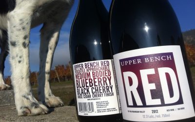 Upper Bench RED Released