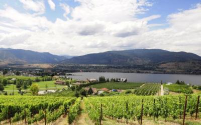 Wining and dining in the Okanagan