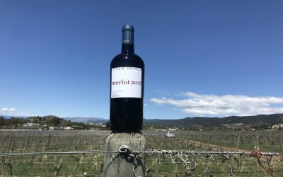 2017 Merlot Remains $20 per bottle!